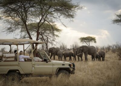 Ruaha Game Drives