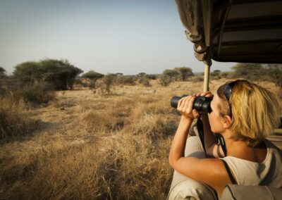 Ruaha Game Drives