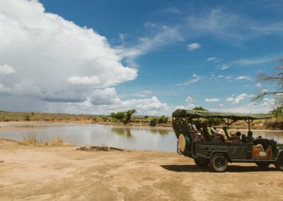 Ruaha Game Drives