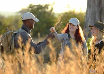 Ruaha Walking Safaris