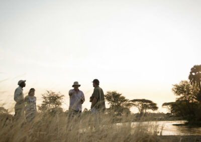 Ruaha Walking Safaris