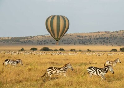 Hot Air Balloon Safari
