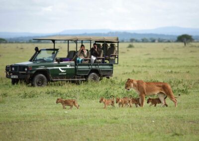 Game Drives