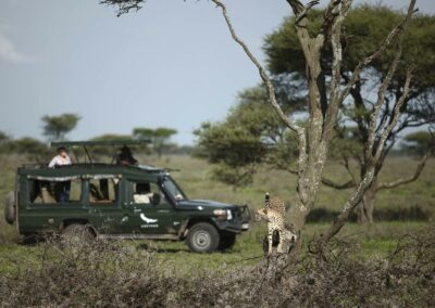 Game Drives