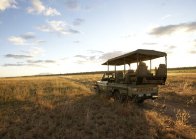 Game Drives