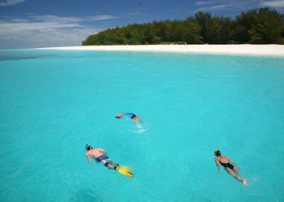 Zanzibar Snorkeling & Reef Excursions